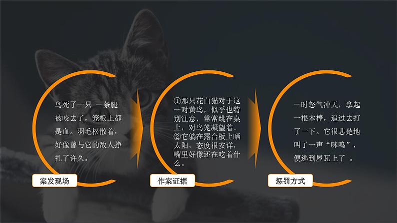 人教部编版语文七上 第16课《猫》第二课时(教学课件)第4页