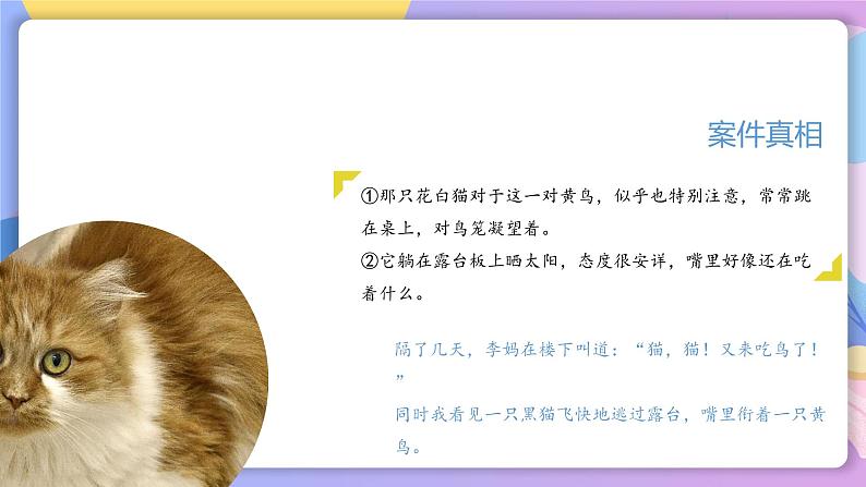 人教部编版语文七上 第16课《猫》第二课时(教学课件)第6页