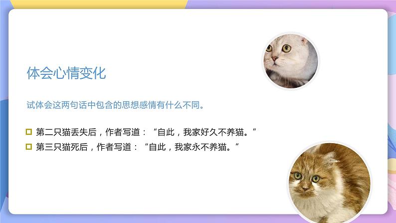 人教部编版语文七上 第16课《猫》第二课时(教学课件)第8页
