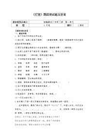 初中语文人教部编版八年级下册灯笼课堂检测