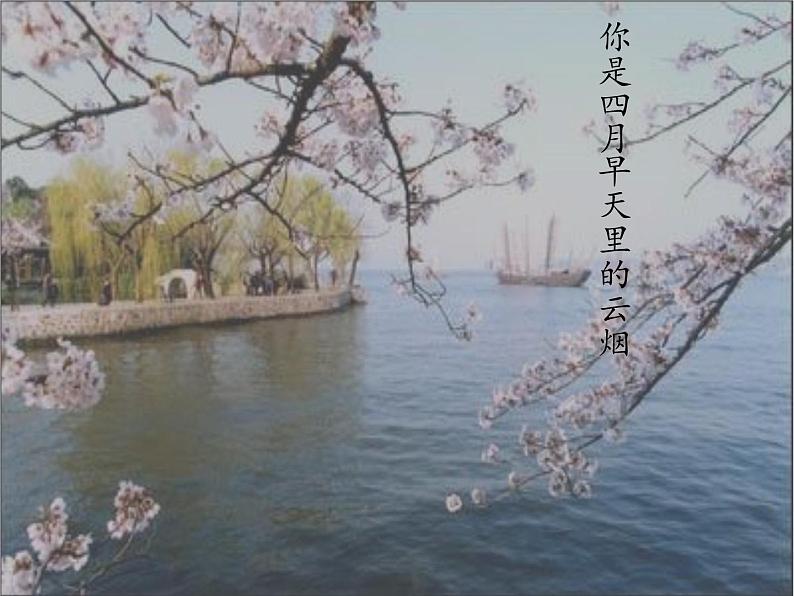 部编版九年级语文上册--5你是人间的四月天——一句爱的赞颂(精品课件)第4页