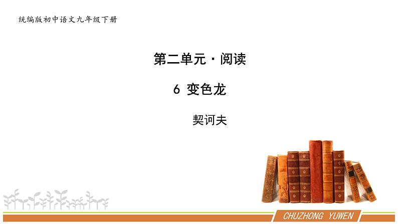 人教部编版语文九年级下册第二单元《变色龙》PPT课件(共2课时)01