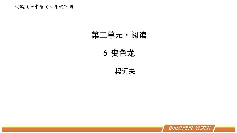 人教部编版语文九年级下册第二单元《变色龙》第二课时优秀PPT课件01