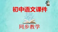 初中语文人教部编版八年级上册任务二 新闻采访教学课件ppt