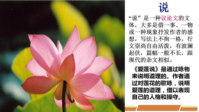 人教部编版语文七年级下册第四单元《短文两篇—爱莲说》优质课件PPT第6页