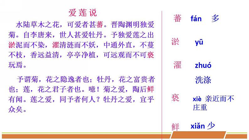 人教部编版语文七年级下册第四单元《短文两篇—爱莲说》优质课件PPT第8页