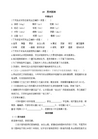 初中语文人教部编版 (五四制)八年级上册（2018）19 苏州园林精品复习练习题