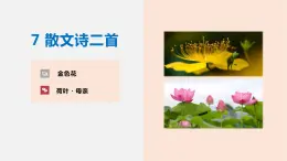 07 散文诗二首（《金色花》《荷叶·母亲》）-2023-2024学年七年级语文上册同步优课课件（PPT）