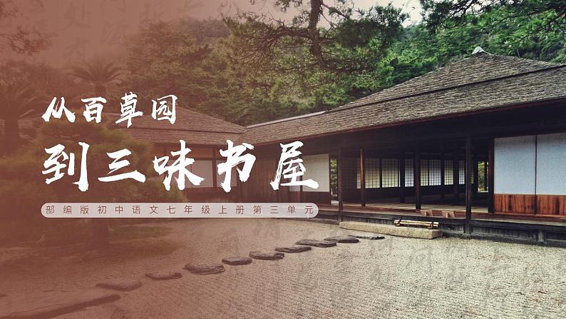 初中语文部编版七年级上册-从百草园到三味书屋 课件+教案01