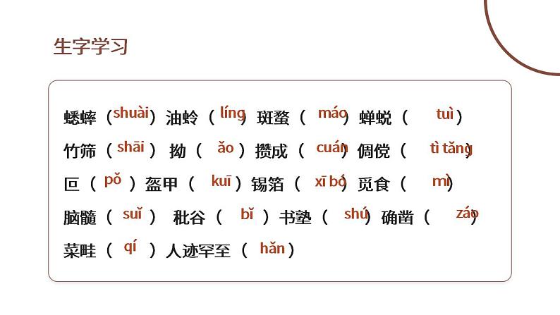 初中语文部编版七年级上册-从百草园到三味书屋 课件+教案07