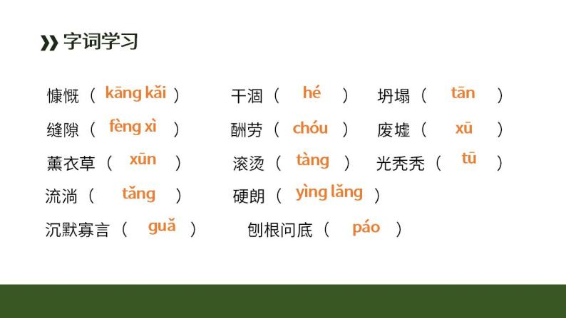 初中语文部编版七年级上册-植树的牧羊人 课件+教案07