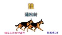 初中語文人教部編版七年級上冊狼課文內(nèi)容課件ppt