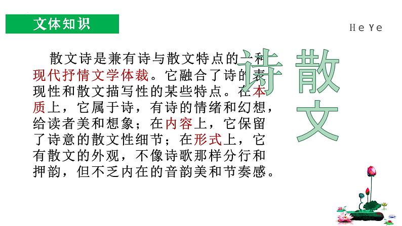 第7课《散文诗二首:荷叶·母亲》课件 2023-2024学年统编版语文七年级上册03