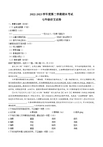 湖北省武汉市东湖高新区2022-2023学年七年级下学期期末语文试题（含答案）
