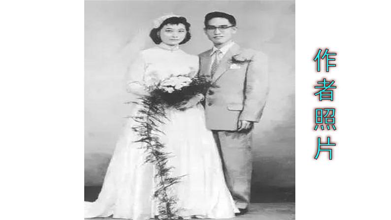 九上语文第4课《乡愁》精品实用高效课件06