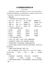湖南省衡阳市第九中学2023-2024学年七年级上学期入学语文暑假素质调研卷含答案