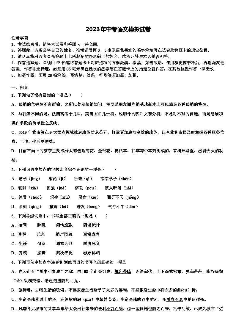 2022-2023学年广东省揭阳市实验中学毕业升学考试模拟卷语文卷含解析第1页