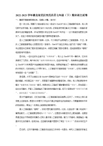 湖北省武汉市武昌区2022-2023学年七年级下学期期末考试语文试题
