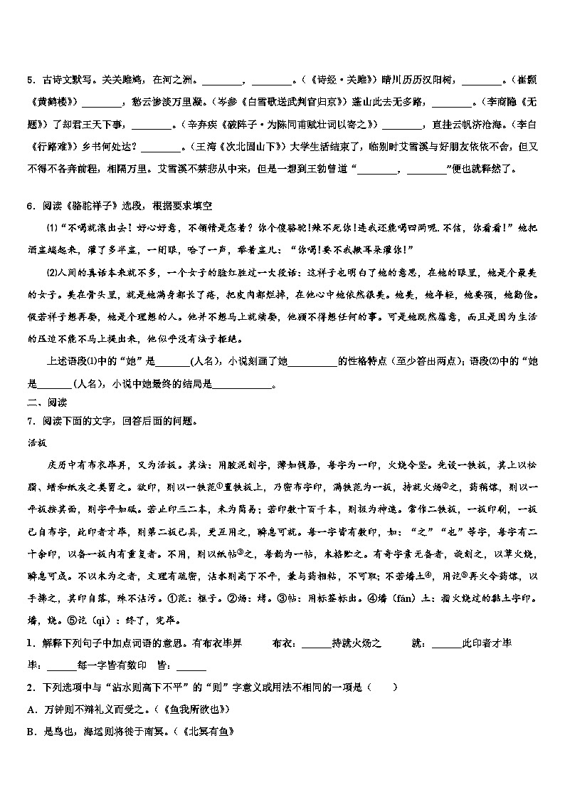 2022-2023学年湖南省师范大附属中学中考四模语文试题含解析02