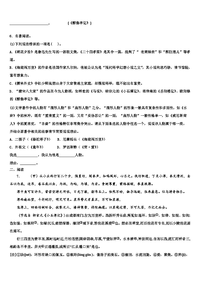 2022-2023学年湖南省永州市新田县中考语文模拟精编试卷含解析第2页