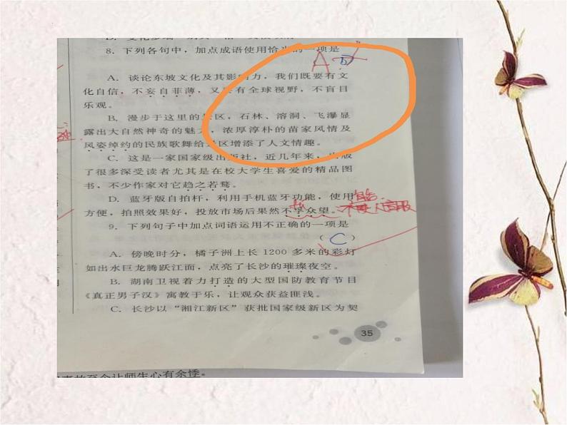 中考语文二轮复习《成语专题》课件PPT05