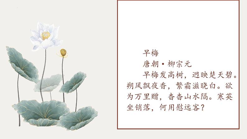 中考语文二轮复习《托物言志专题》课件PPT第5页