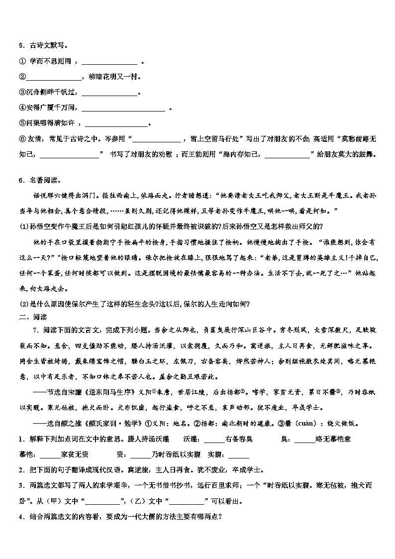 2022-2023学年四川省营山县中考一模语文试题含解析02