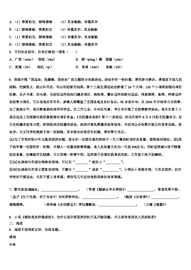 2022-2023学年浙江省台州市海山教育联盟中考语文考试模拟冲刺卷含解析第2页