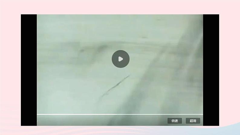 统编七语上 13 植树的牧羊人【第一课时】第2页