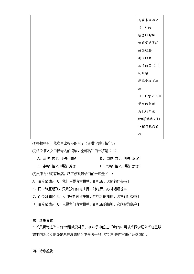 2023年福建省三明市宁化县中考模拟语文试题(含解析)02