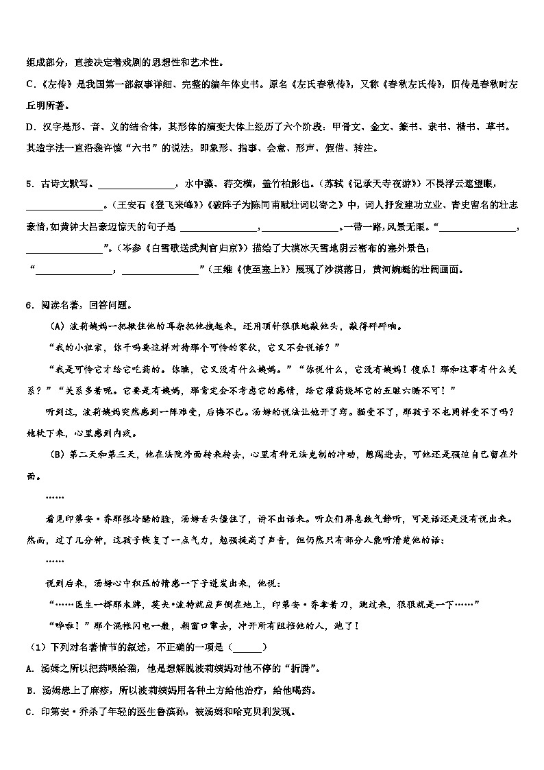 2023届福建省建宁县重点名校中考语文模拟试题含解析第2页
