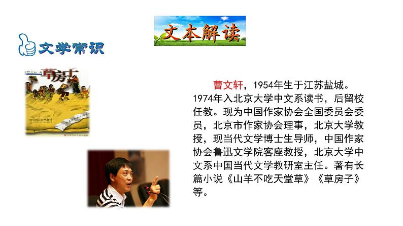 4.16 孤独之旅 课件 2023-2024学年部编版(五四学制)语文九年级上册05