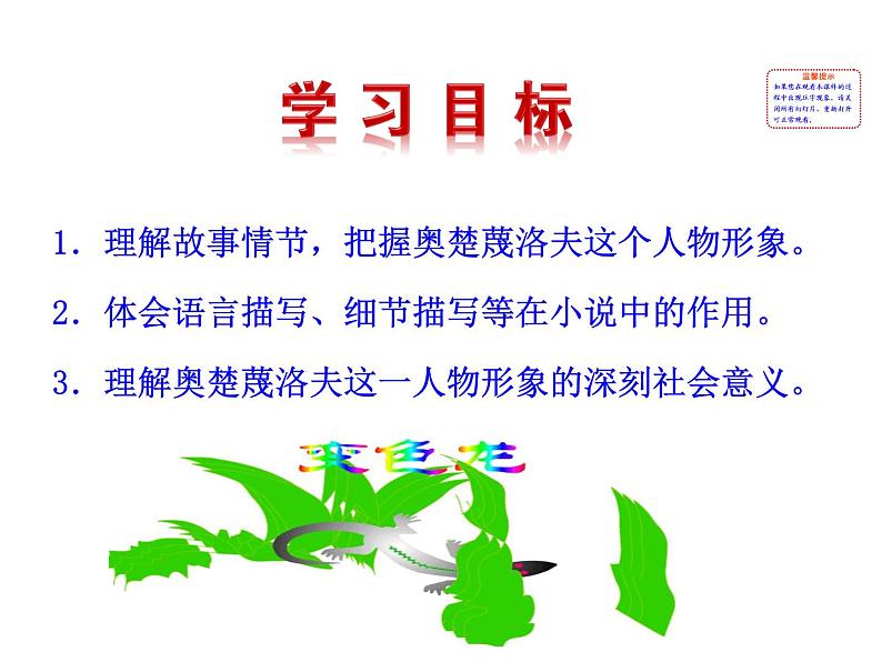 6 变色龙第7页