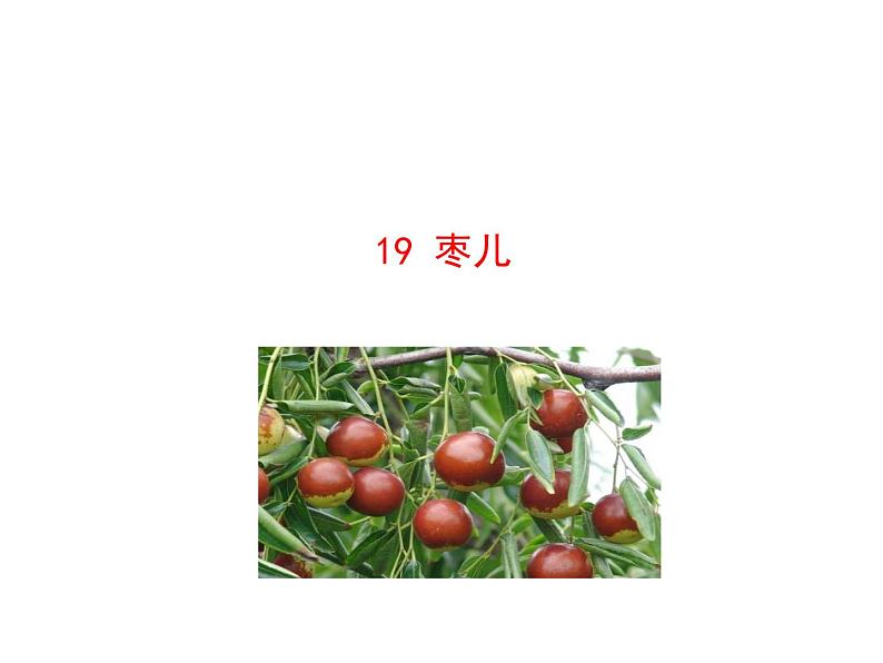 19 枣儿第1页