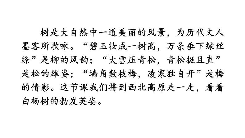 初中语文八年级上册15 白杨礼赞教学课件(2023秋)第1页