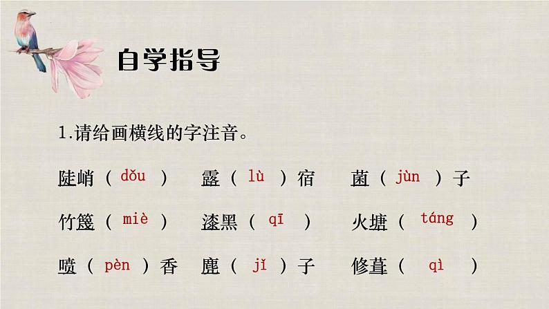 第15课《驿路梨花》课件+2022-2023学年部编版语文七年级下册第6页