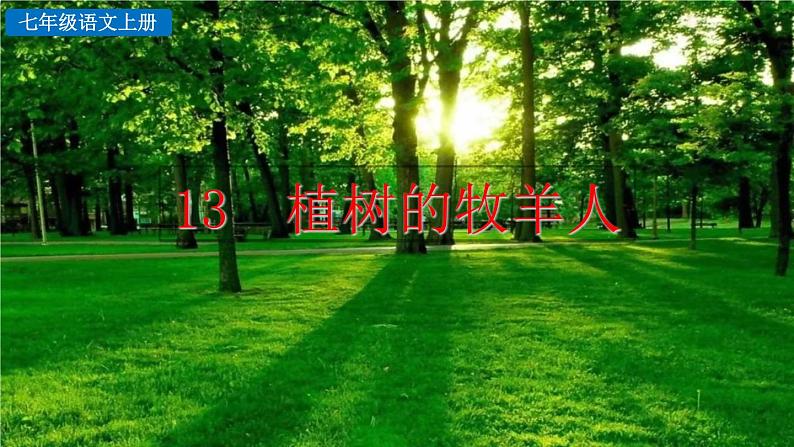 初中语文七年级上册13 植树的牧羊人2教学课件(2023秋)第1页