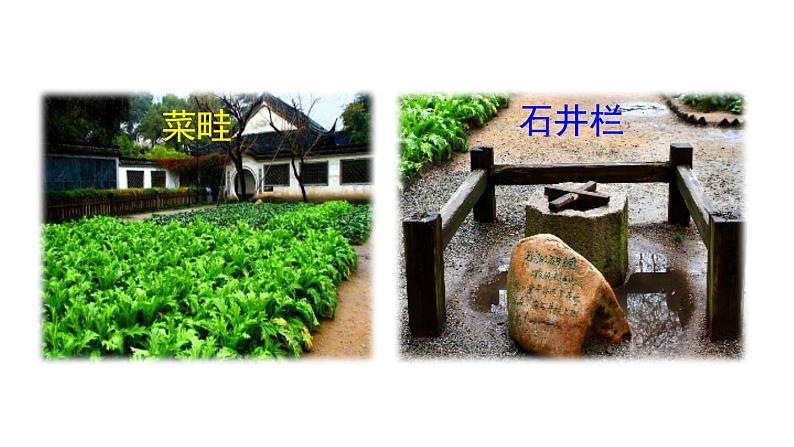 部编版七年级语文上册9《从百草园到三味书屋》(精品课件)第2页