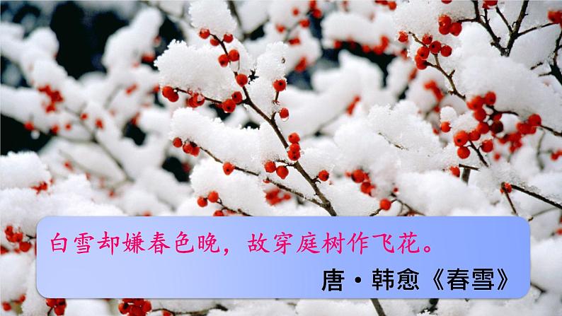 部编版九年级语文上册1 沁园春·雪课件PPT第3页
