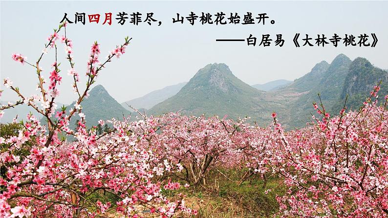 部编版九年级语文上册5 你是人间的四月天课件PPT第1页