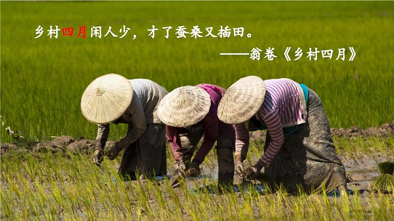 部编版九年级语文上册5 你是人间的四月天课件PPT第2页