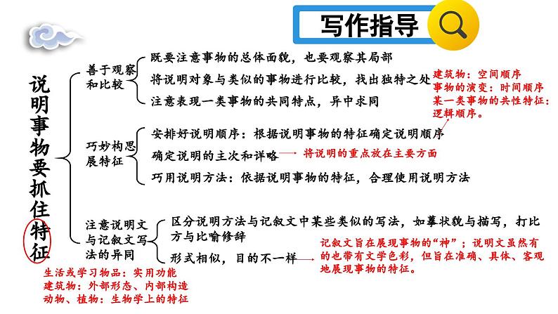 部编版八年级语文上册 第5单元 写作:说明事物要抓住特征课件PPT第6页