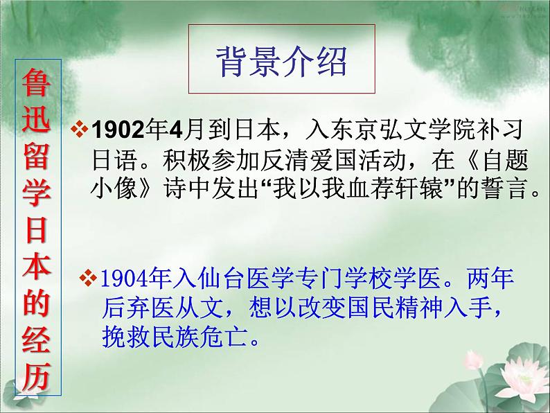 部编版八年级语文上册--6藤野先生(精品课件)第4页