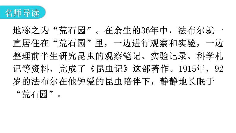 人教版八年级语文上册第五单元5-21蝉教学课件08