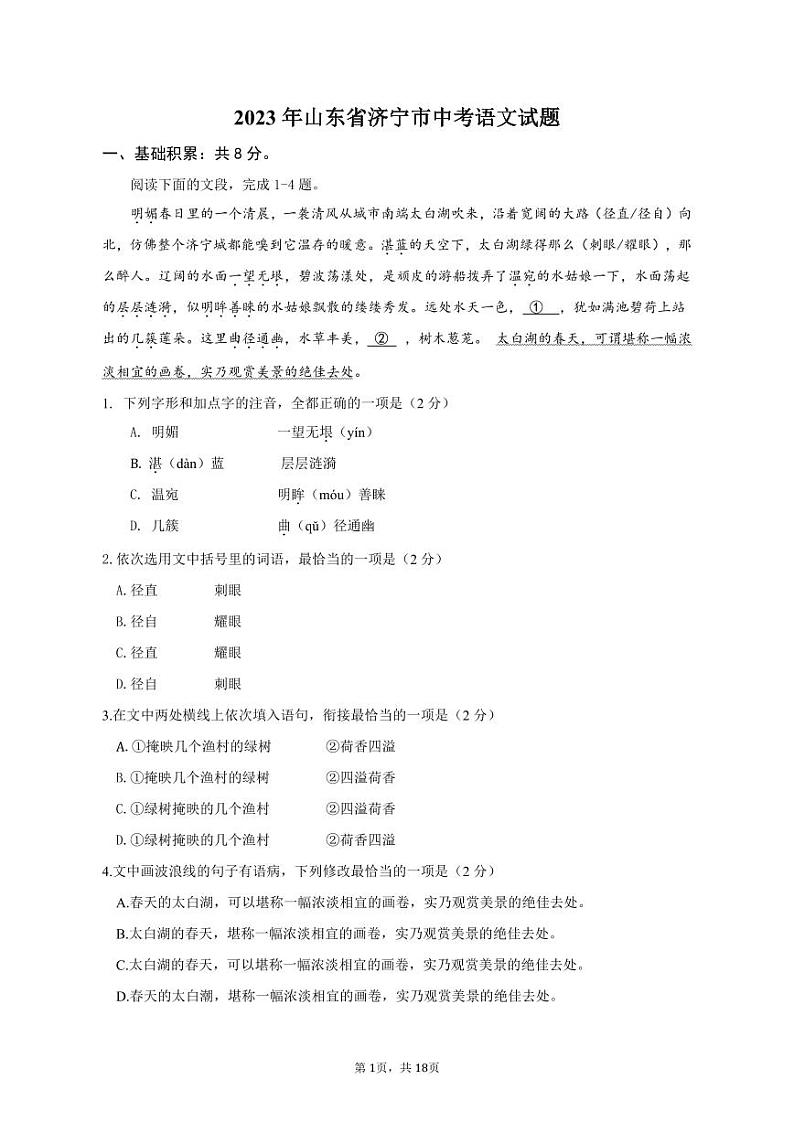 2023年山东省济宁市中考语文真题01
