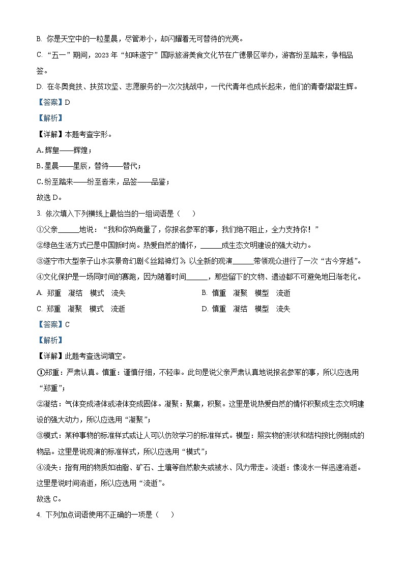 2023年四川省遂宁市中考语文真题(解析版)02