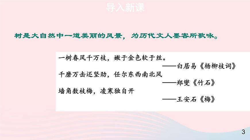 2023八年級(jí)語(yǔ)文上冊(cè)第四單元15白楊禮贊第一課時(shí)課件（部編版）第3頁(yè)