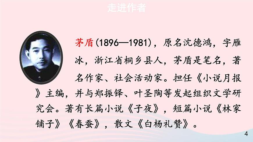 2023八年級(jí)語(yǔ)文上冊(cè)第四單元15白楊禮贊第一課時(shí)課件（部編版）第4頁(yè)