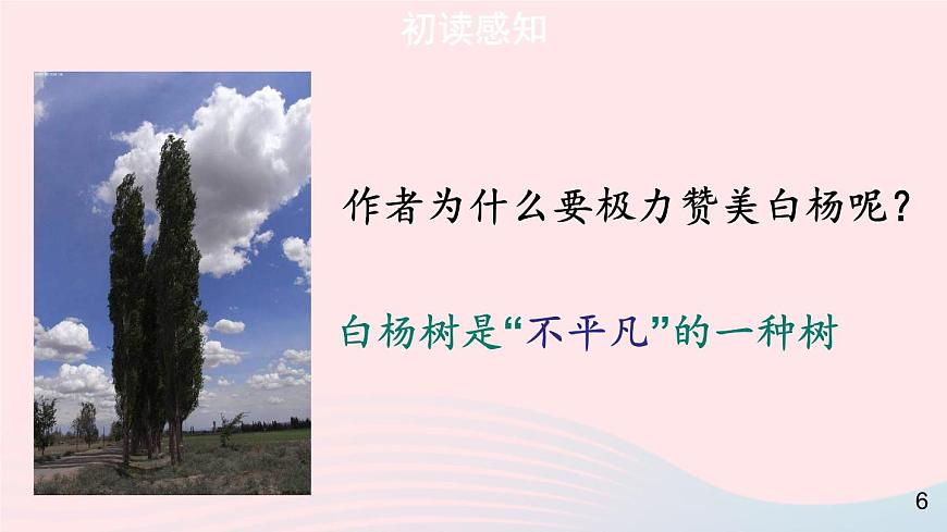 2023八年級(jí)語(yǔ)文上冊(cè)第四單元15白楊禮贊第一課時(shí)課件（部編版）第7頁(yè)