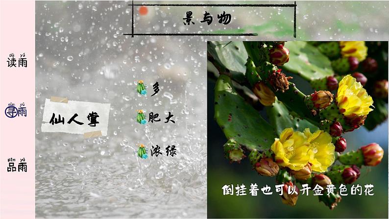2023八年级语文上册第四单元17昆明的雨精品课件(部编版)第5页